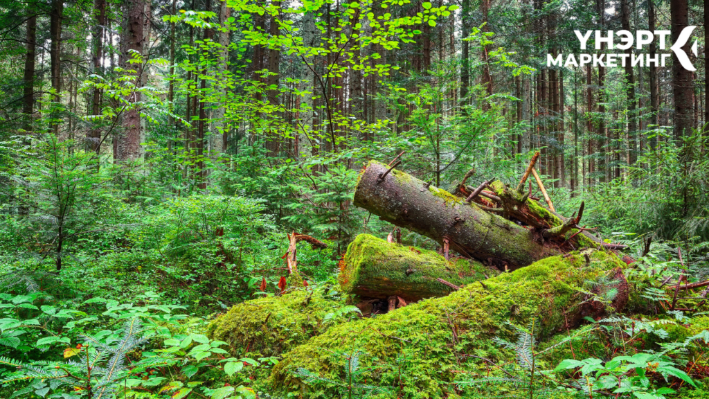 Үнэрт тос ангилал хэрэглээ