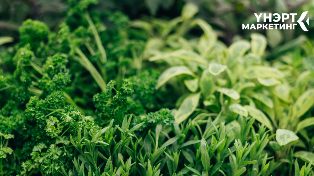 Үнэрт тос ангилал хэрэглээ