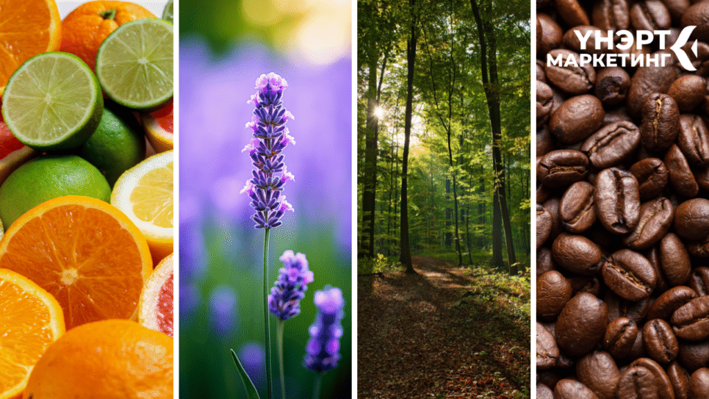 машины үнэртүүлэгч