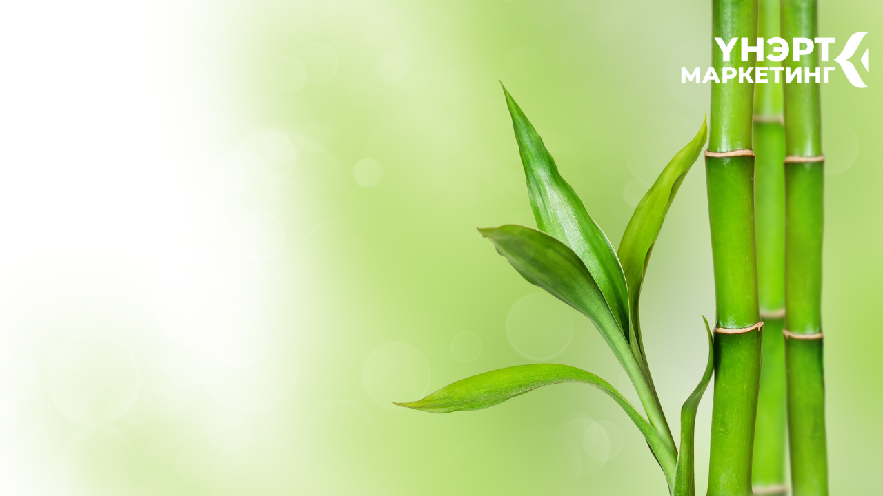 Ногоон хулс үнэрийн анхилуун уур амьсгал