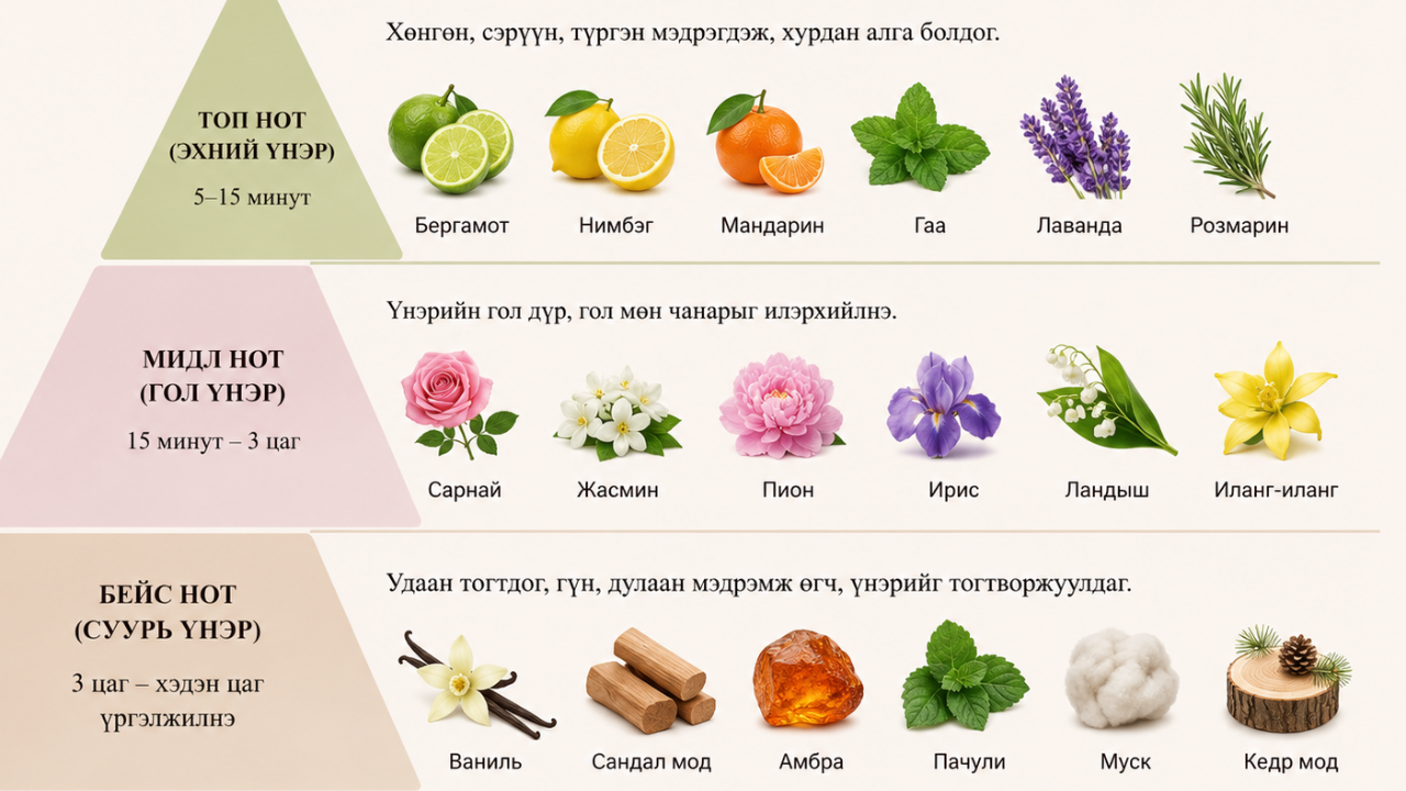 https://scentmarketing.mn/wp-content/uploads/2026/06/2.png